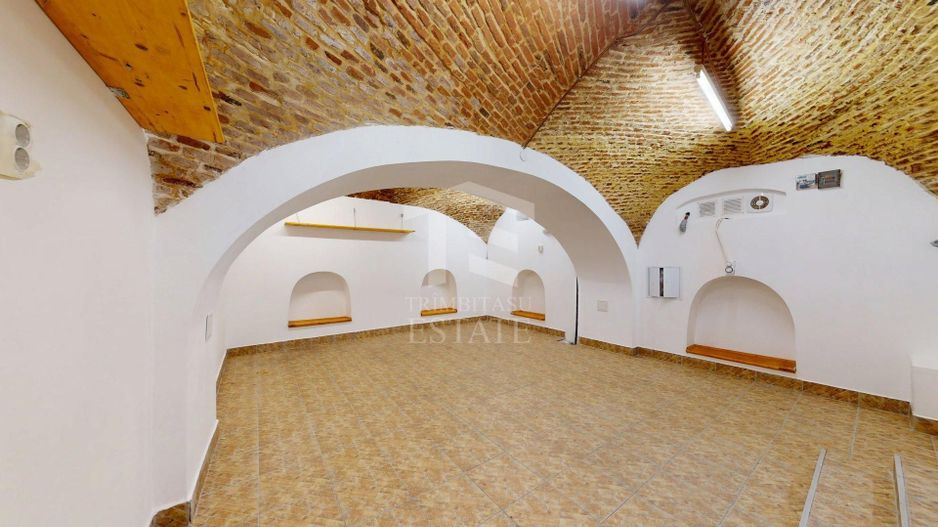 Casă cu șarm istoric lângă Cișmigiu – 6 camere, atrium natural, cramă - Poză 33