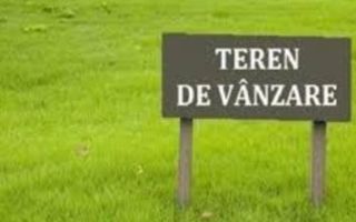 Teren extravilan | Industrial Vest | Investitie | Acces direct - Poză 3