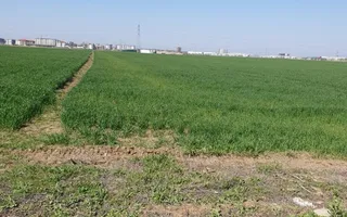 Teren in Dobroesti, Ilfov, Bulevardul Nordului, investitie. - Poză 11