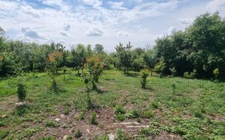 Casă 6 camere, livadă, 3 199 mp, Girisul Negru, Bihor. 42 000 E - Poză 5