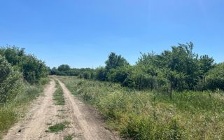 Teren intravilan 500mp | Kuncz, Timișoara | Oportunitate de Investiție - Poză 5