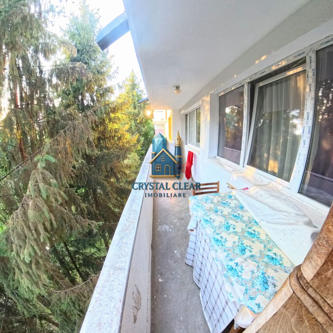 Apartament 2 camere, cartierul Aleea Carpați, zona Darina - Poză 14
