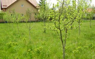 Teren de vanzare in Cornu 1183 mp - Poză 2