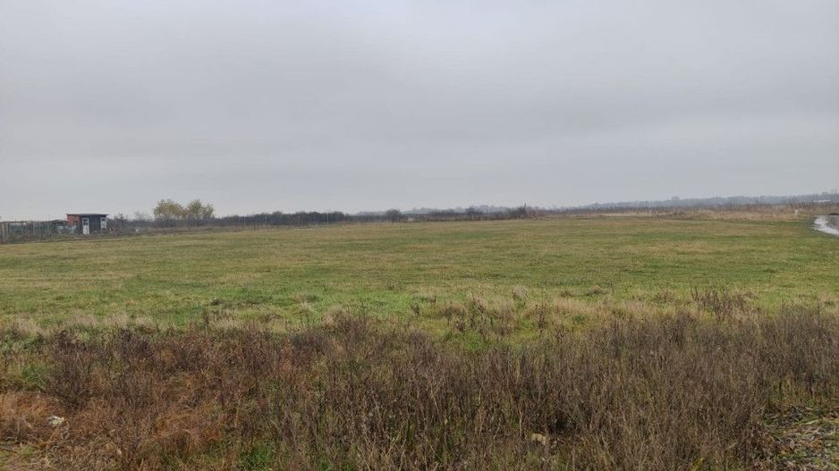 Teren 4588 mp, Remetea Mare Comision 0% - Poză 4