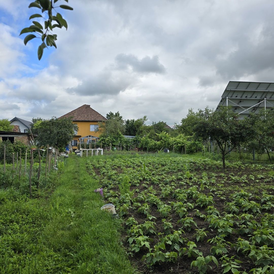Ansamblu de 2 case  și teren 15 ari, Reghin - Poză 2