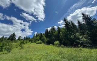 TEREN EXTRAVILAN DE VANZARE | CAMPULUNG MOLDOVENESC | 258.720€ - Poză 1