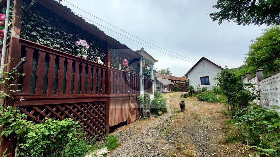 Casa renovata cu teren 7000mp la 19 km de Deva – Sat Nojag, Hunedoara - Poză 4
