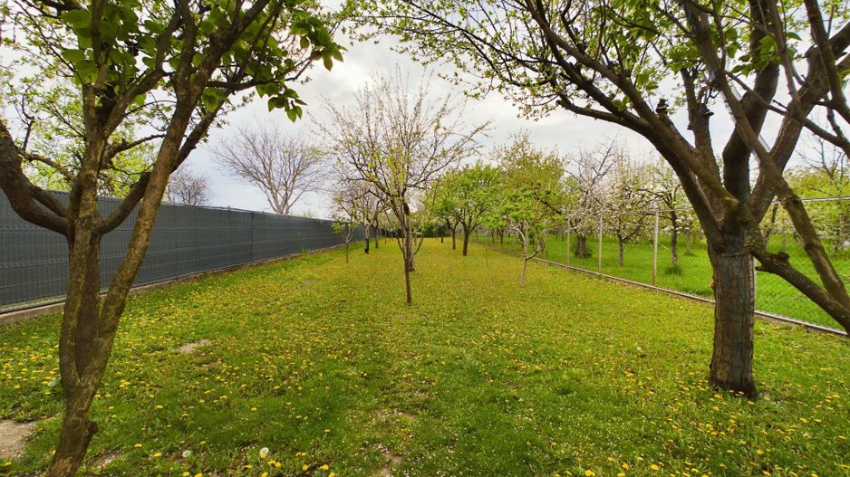 Spațiu comercial, hală și apartamente Aradul Nou - Poză 14