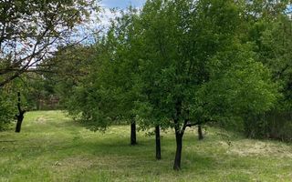 BRASADAS vinde casa cu 3 cam teren 17 ari zona Titulescu. - Poză 5