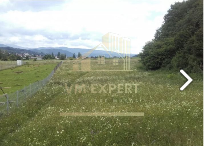 TEREM INTRAVILAN 2974 MP CAMPULUNG - Poză 4