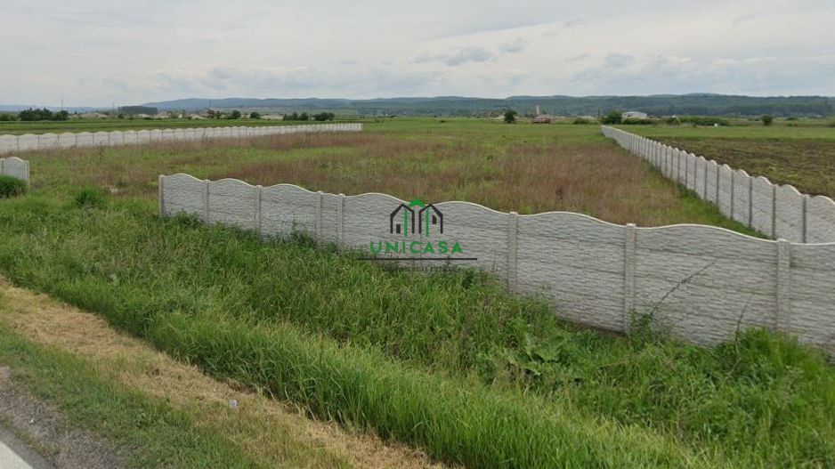 Teren Zona industriala / 5000mp - Poză 2