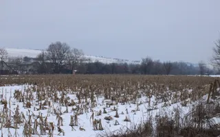 Fermă agricola funcțională de vanzare I Vurpar - Poză 31