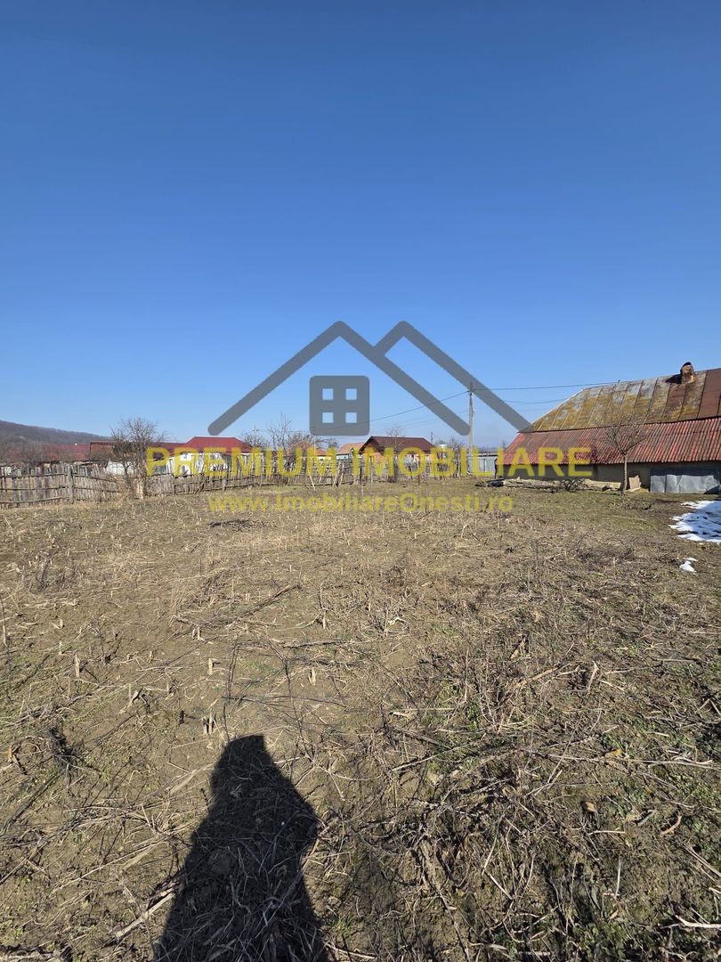 Casă bătrânească de vânzare – sat Prajoaia - Poză 6