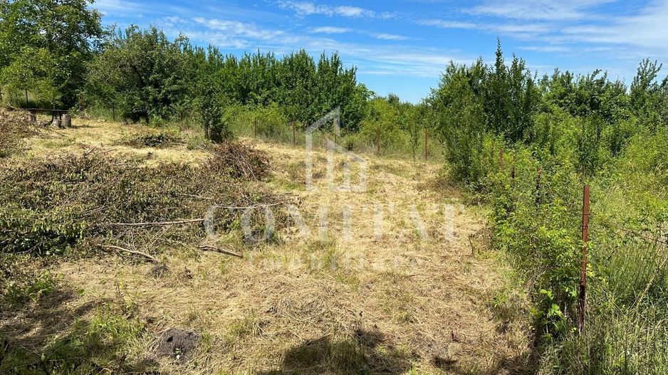 Teren intravilan 1000mp Borhanci - Poză 2