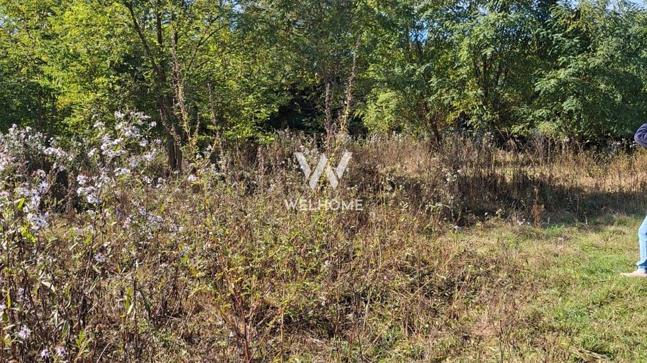 Teren de vanzare Daia Noua - Poză 3