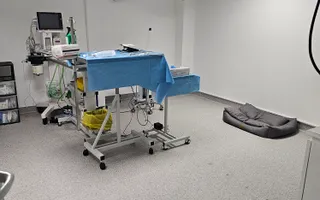 OCAZIE Spatiu Comercial Herastrau/Aviatiei - Poză 11