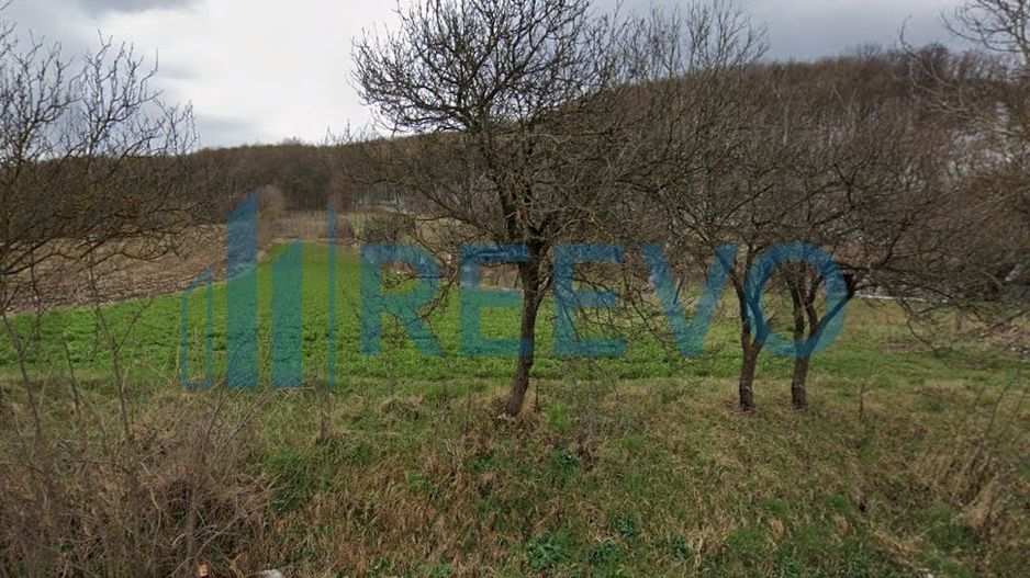 Vanzare Teren - Comuna Beresti-Tazlau, sat Bosoteni - Poză 2