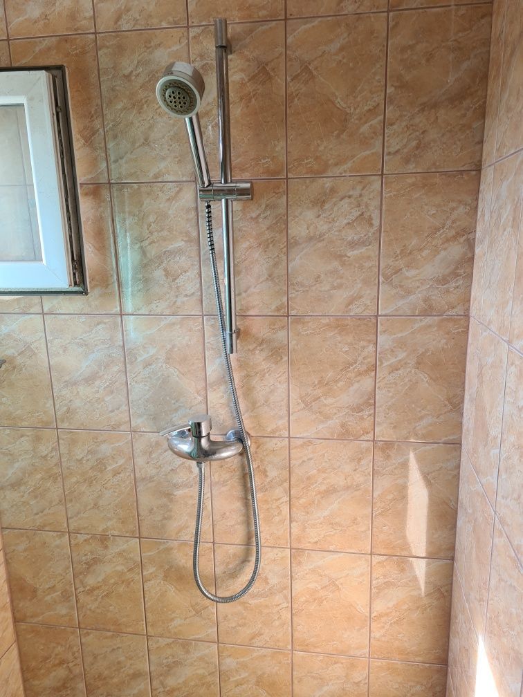 Inchirieri case/vile - Poză 2