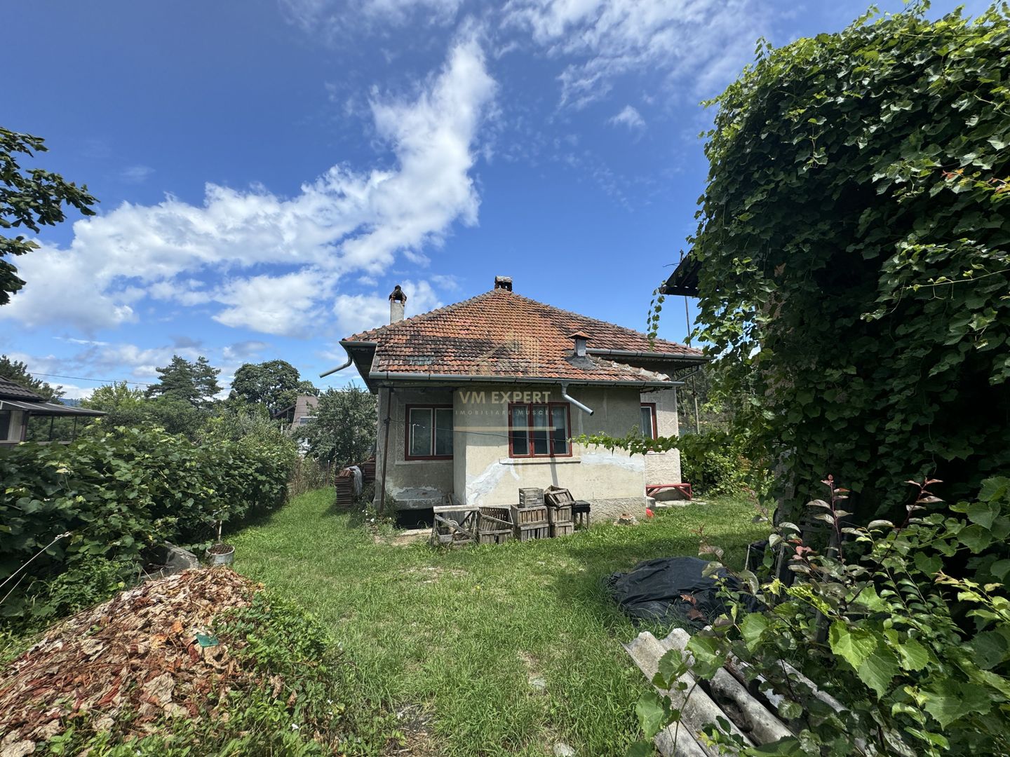 CASA 3 CAMERE CAMPULUNG, TEREN 1964 MP - Poză 18