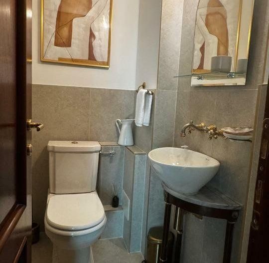 BRASADAS închiriază Penthouse cu terasa la Parcul Circului. - Poză 5