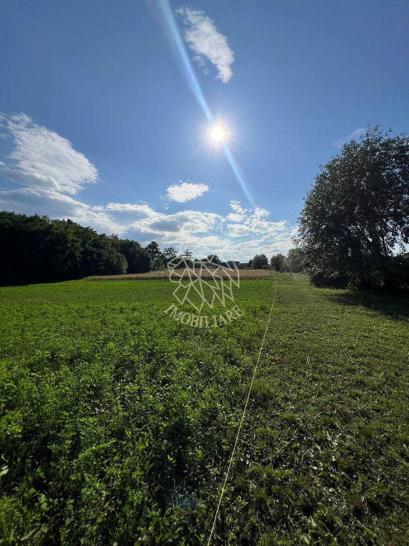 Teren intravilan 6800 mp cu utilitati-Parcelabil-Sieu 21km de Bistrita - Poză 2