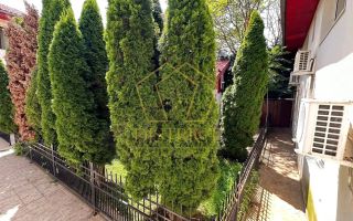 Casa/pensiune cu 13 apartamente si anexe | Olimpia - Stadion - Poză 10