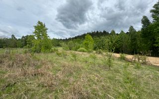 TEREN INTRAVILAN 6680 MP LERESTI ARGES - Poză 2