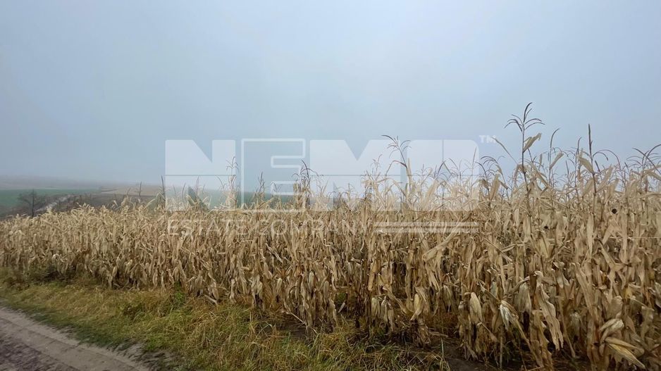 TEREN EXTRAVILAN | DOUA PARCELE 2.84 HA| IDEAL AGRICOL | DARMANESTI - Poză 21