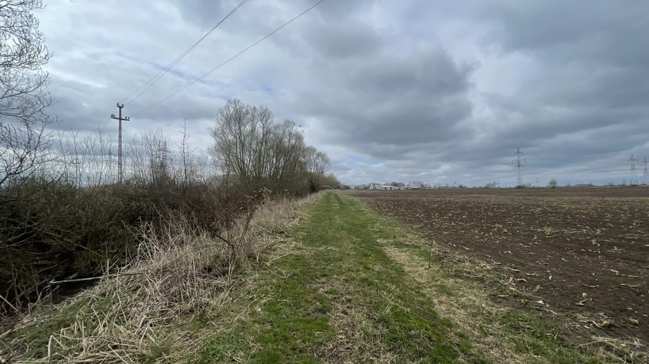 TEREN INTRAVILAN | 50 ARI | ZONA PERIFERICA RADAUTI - Poză 9