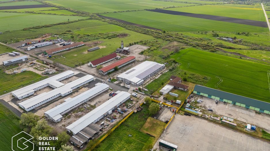 Hala industriala, Pecica, județul Arad - Poză 4