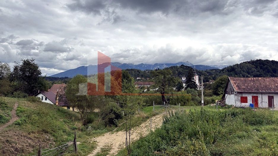 Teren de investiție în Moieciu, lângă Castelul Bran – 11.381 mp, vedere Bucegi - Poză 9