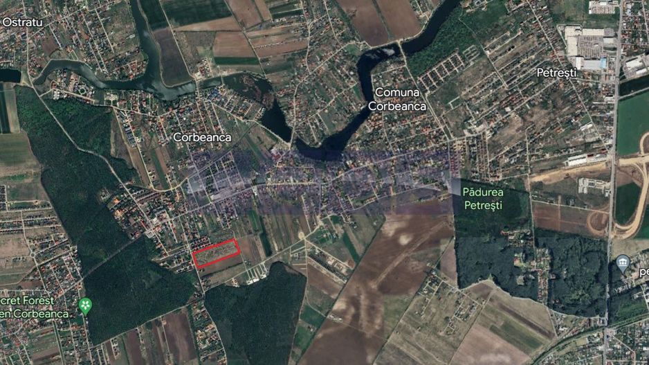 Oportunitate Corbeanca | 51.772 mp | deschidere 142 mp | utilitati - Poză 2