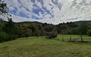 Teren Intravilan de Vânzare – 4000 mp – Râu Sadului - Poză 2