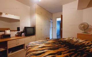 4 camere decomandat, posibilitate montare centrala, Pantelimon Delfinului - Poză 22