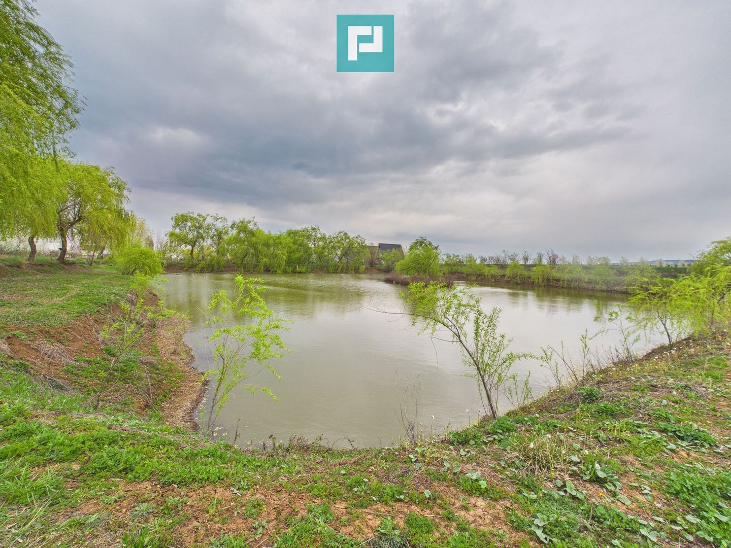 Teren 1 ha cu baltă populată – Alioș (Mașloc) - Poză 3