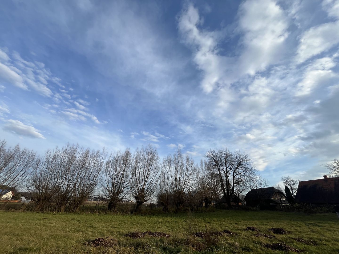 TEREN INTRAVILAN GENEROS | 72 ARI | GALANESTI - Poză 11