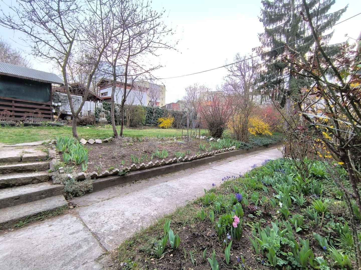 Apartament tip studio cu gradina Gruia strada Migdalului - Poză 1