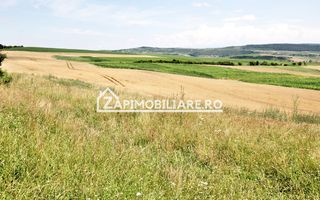 Teren 9.600 mp.17 euro mp deschidere la drum 200 m. - Poză 5