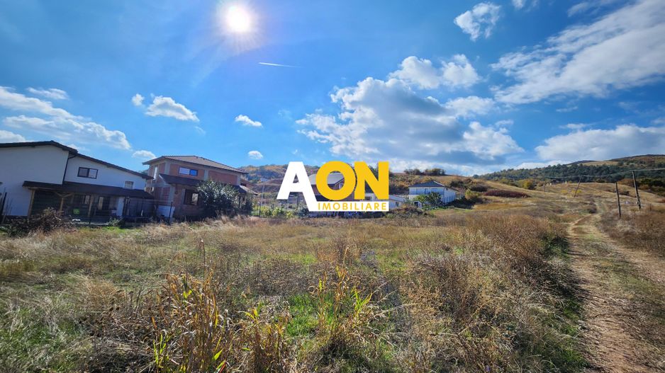 De vanzare 3624mp teren intravilan, zona Micesti partea stanga - Poză 2