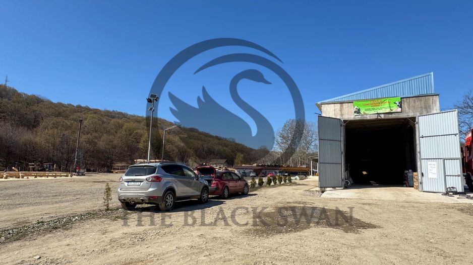 Teren 31.000 MP + Constructie 800 MP de vanzare | Valenii de Munte - Poză 10