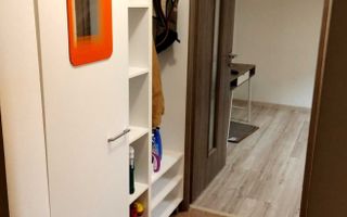 AP. 2 CAMERE TEIUL DOAMNEI, PET-FRIENDLY,REABILITAT, BUCATARIE INCHISA - Poză 7