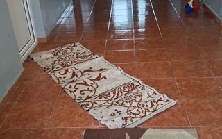 Casă de închiriat pe termen lung în Măcărești, 3 camere, curte 0.5 ha - Poză 7