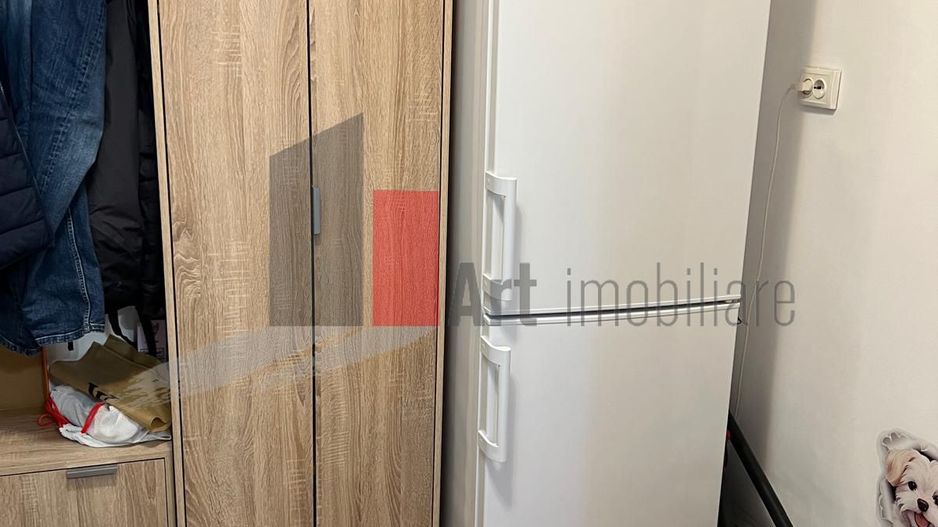 Apartament 2 camere Raul Doamnei - Poză 4