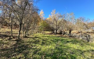 Teren 4044 mp, deschidere 60m, la 18 km de Campina, asfalt si curent - Poză 5