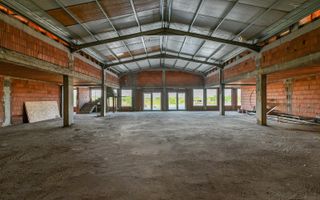 Sala de evenimente cu  piscina si foisor Biled COMISION 0 % CUMPARATOR - Poză 33