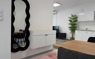 Apartament 1 camera | Etaj 1 | Curte | Modern | Central - Poză 14