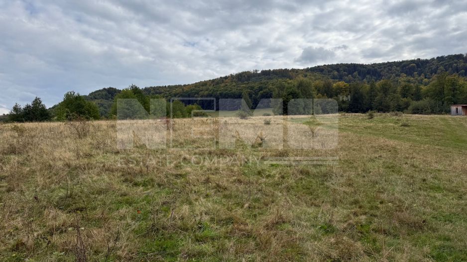 Teren de vânzare în Putna | 6.400 mp | 56 m front stradal - Poză 10