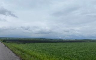 Teren Extravilan | Dornesti | 14.100 Mp - Poză 1