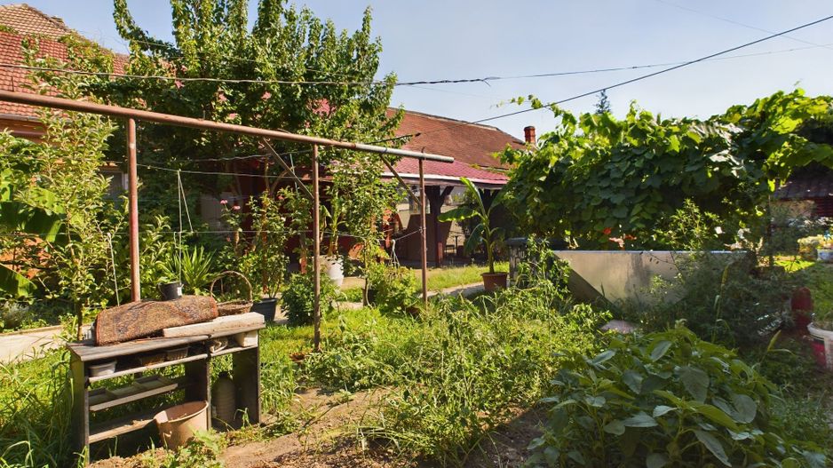 Apartament 2 camere la curte comună - Poză 6