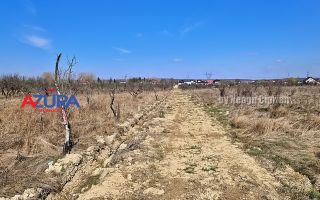 AZURA IMobiliare - Teren Iefin Bascov 3km de Giratoriu - Poză 2